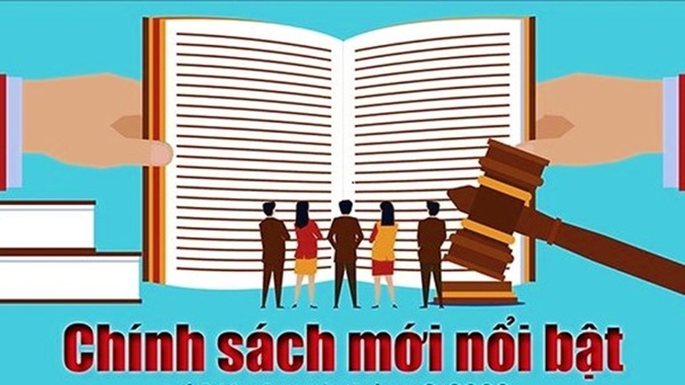 Chính sách hỗ trợ nâng cao hiệu quả chăn nuôi